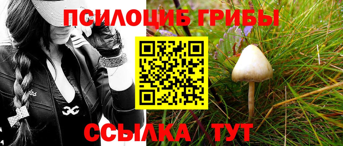 Ирбит  Галлюциногенные грибы ЛСД  Галлюциногенные грибы MAGIC MUSHROOMS  цена наркотик  Вход с VPN 